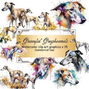 Clipart aquarelle lévriers gracieux - clipart individuel téléchargeable numérique