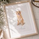 Pet Home Decor