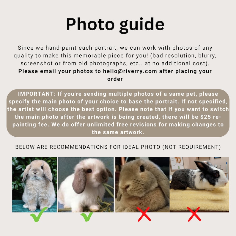 May include: A guide for submitting photos for custom pet portraits. The guide shows examples of good and bad photos. The good photos are clear and well-lit. The bad photos are blurry or poorly lit. The guide also includes information about the process of choosing the main photo and the cost of changing the main photo after the artwork is created.