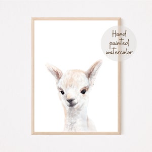 Baby Llama Printable Painting, Nursery Wall Art Decor,  Baby Animal Print, Nursery Decor