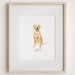 see more listings in the Pet portrait section