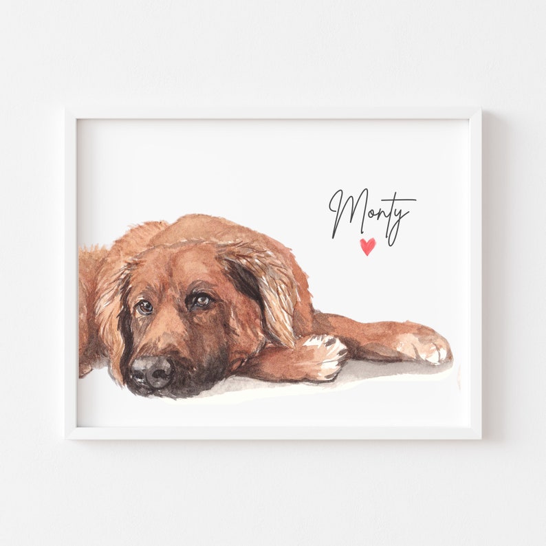 May include: Watercolor painting of a brown dog named Monty, lying down with its head resting on its paws. The dog has a sweet expression and is looking off to the side. The painting is on a white background with a small red heart next to the name.