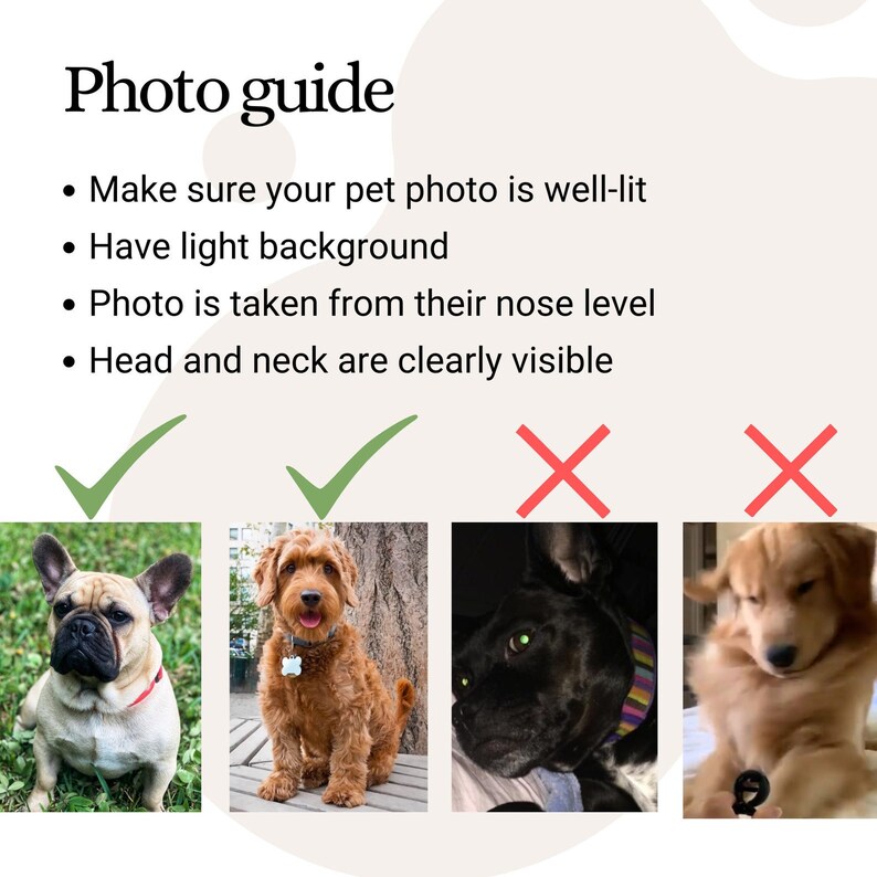 May include: Four images of dogs, two with green check marks and two with red X marks. The check marks indicate good examples of pet photos for a website or social media. The X marks indicate bad examples of pet photos. The first image shows a French bulldog sitting on green grass. The second image shows a brown and white dog sitting on a wooden bench. The third image shows a black dog with green eyes. The fourth image shows a golden retriever jumping in the air.