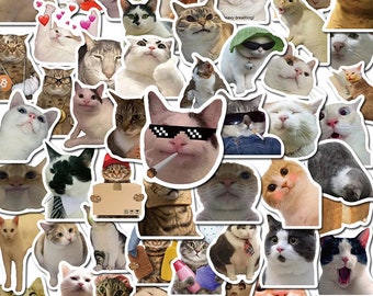 50PCS Cat MEME Funny Animals Stickers Vintage Toy DIY Kids Notebook Luggage Motorcycle Laptop Refrigerator Decals Graffiti