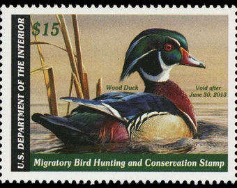 Lone Duck Rubber Stamp Wood Mounted SUT D1681BIR