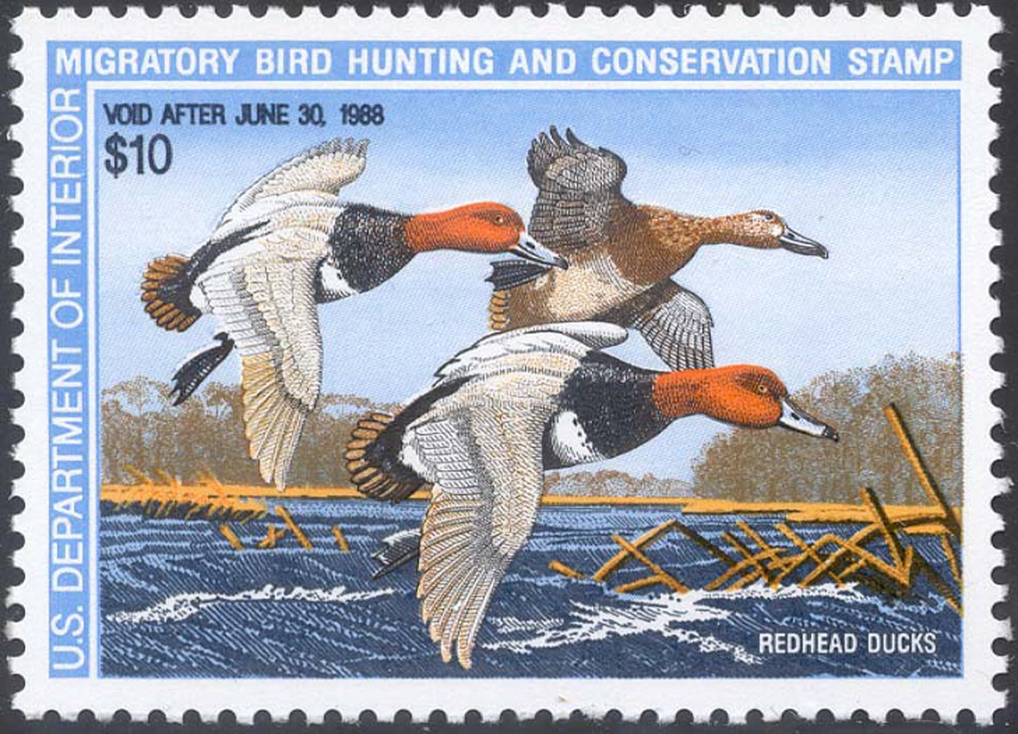 Redheads Federal Duck Stamp Ten Dollar Value Mint Nh Very Etsy