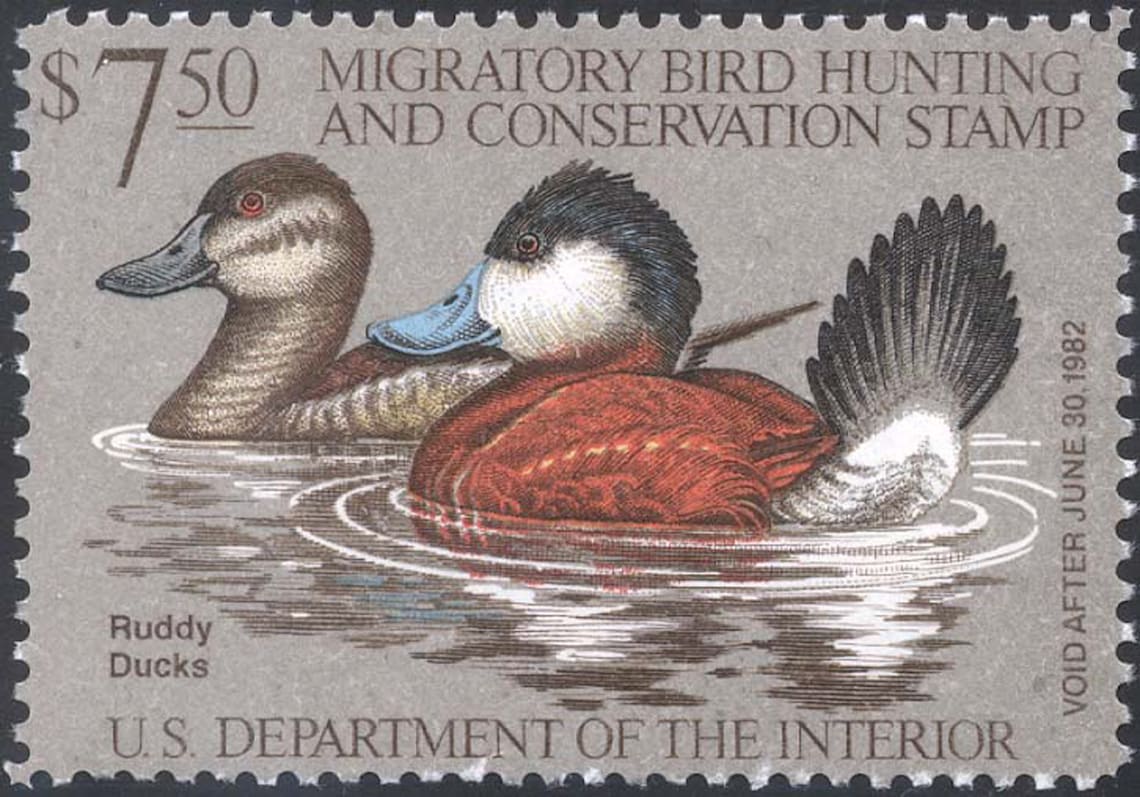 Ruddy Ducks Federal Duck Stamp 7.50 Value Mint NH Very Fine Etsy