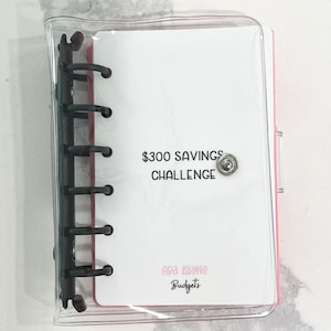 300 Dollar Mini Savings
