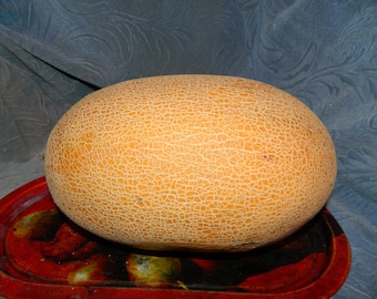 Nasiona melona, 2 g supersłodkiego melona Amal, złote nasiona melona, melon olbrzymi, rzadkie, tradycyjne nasiona organiczne z Ukrainy SW238