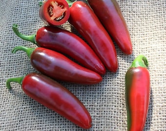 Jalapeno Hot pepper seeds, Capsicum annuum Jalapeño,  0,2 g organic pepper seeds  SW506