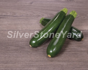 Zucchini seeds 1000 rare seeds green squash, Zucchini Aeronaut, Ukrainian organic seeds SW954