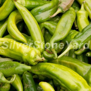 Pepper Seeds, 100000 Anaheim Chili peper zaden Oekraïense biologische zaden SW914