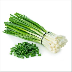 Onion seeds  50000 seeds Onion Aprelsky Ukrainian organic seeds  SW771