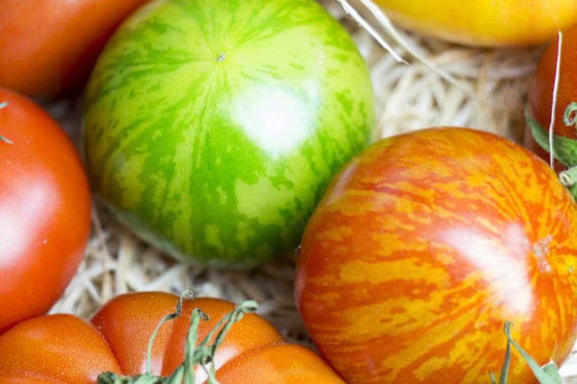 60 Striped tomato seeds Green TomatoStriped Tomatoes Etsy
