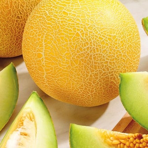 Melon Lesya,Melon supersweet,melon seeds,1g Melon Seeds,jumbo melon,SW597