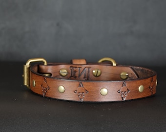 Schedel leren hondenhalsband. Ontwerp met noppen. 1 inch breed. Antiekbruin