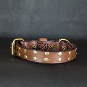 Brown Dog Collar. 1 inch wide. Studded.