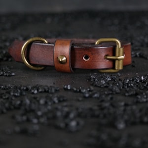 Collar clásico de cuero para perro. Estilo vintage. 2,5 cm de ancho. Marrón antiguo.