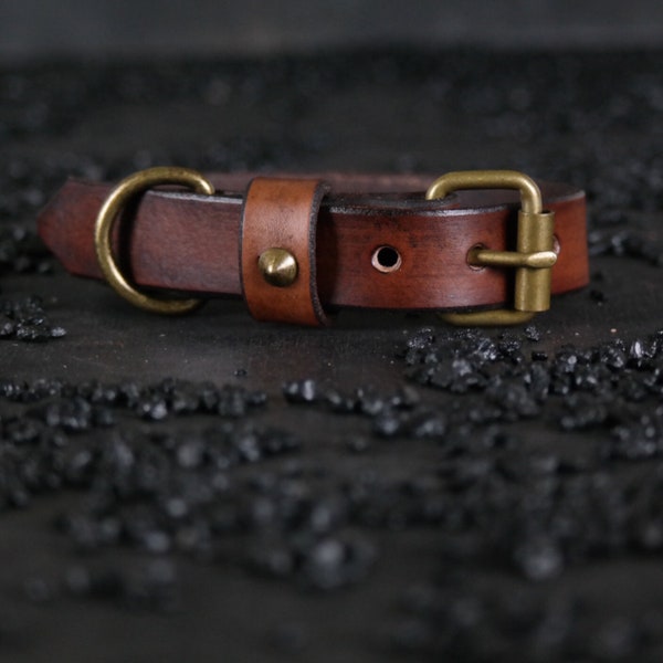 May include: A dark brown leather collar featuring a brass buckle, a matching brass D-ring, and a leather keeper loop secured with a brass stud. The leather has a smooth, polished finish with visible stitching and punched holes for adjustment.