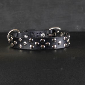 Studded Leather Dog Collar. Grommets accent. 1” Wide. Black & Chrome