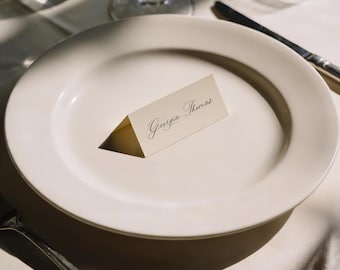 Place cards for Wedding Modern Setting Calligraphy Placecards Printed Handwritten Style