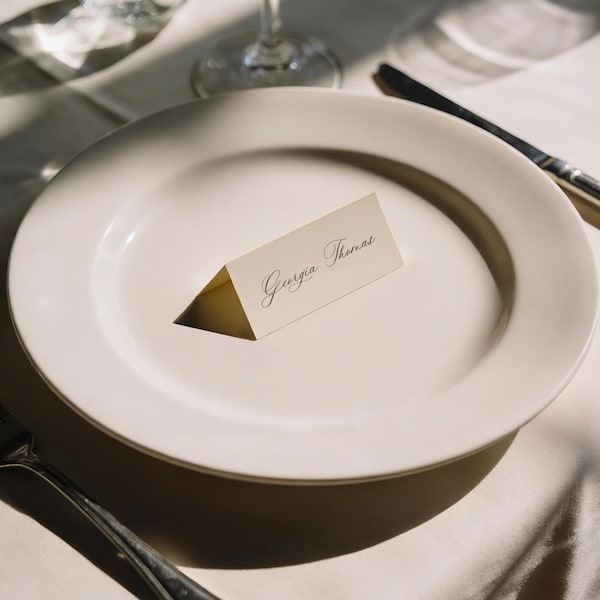 Place cards for Wedding Modern Setting Calligraphy Placecards Printed Handwritten Style
