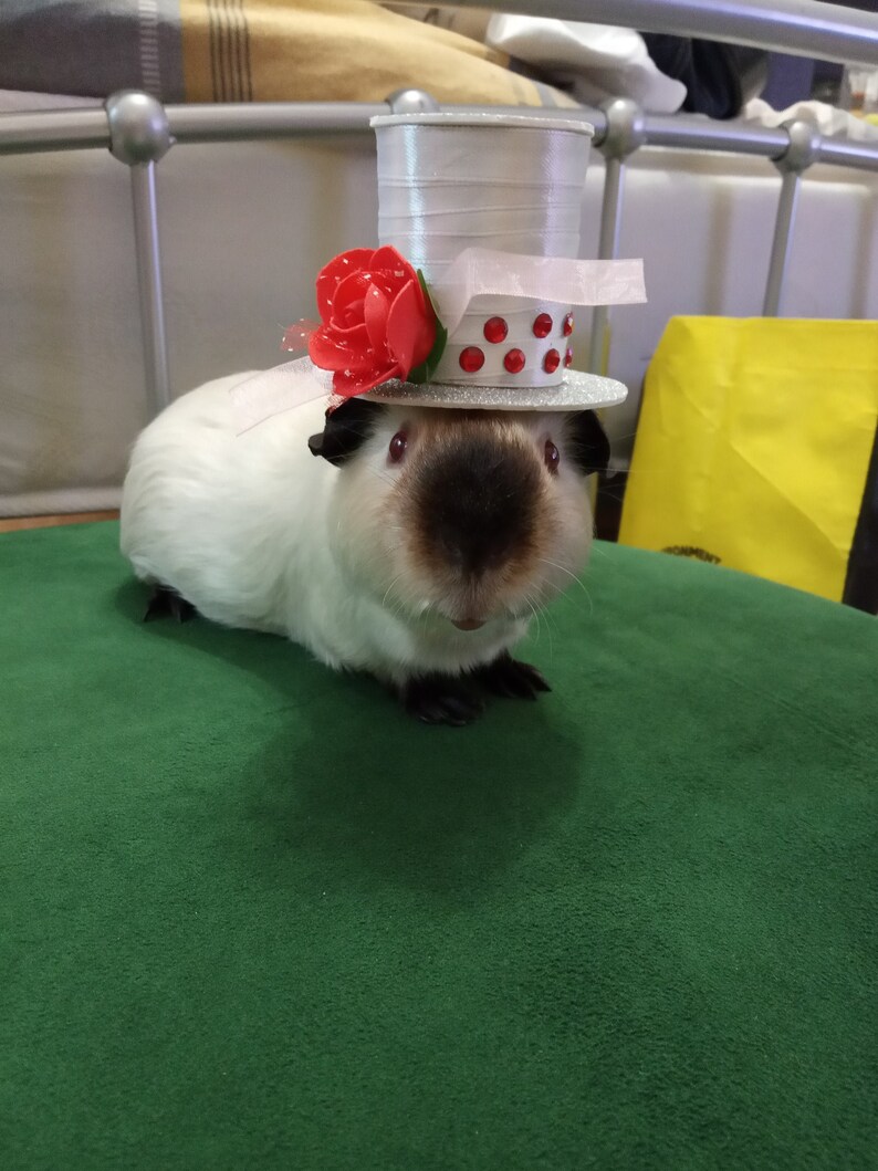 Guinea Pig Mini Party Top Hats / Etsy Crafts /Gift Ideas Etsy