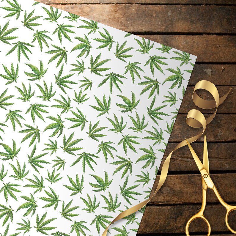 Illustrated Botanical Cannabis Wrapping Paper Marijuana Gift Etsy
