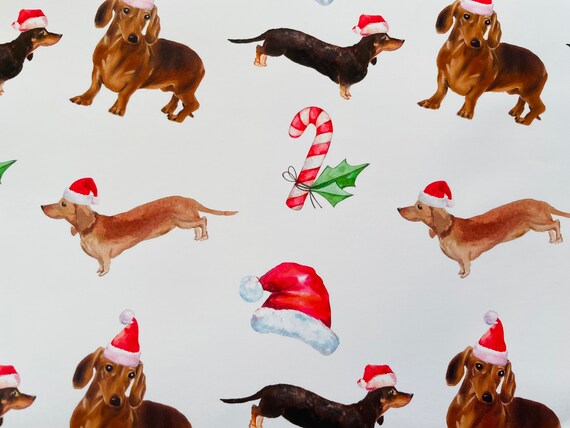 Dachshund, Dashhound, Doxin, Doxie, Wiener Dog Gift Wrap Christmas Hand Illustrated Sausage Dog Wrapping paper Limited Edition