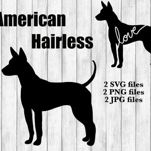 American Hairless Terrier Hunderasse Silhouette Cursive Love Canine Haustier Digital Download Plotterdatei SVG PNG JPG