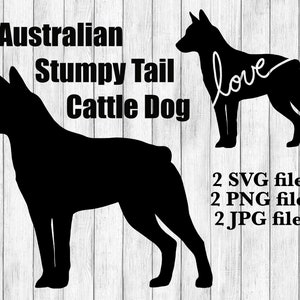 Australischer Stumpy Schwanz Hund Hunderasse Silhouette Cursive Love Canine Haustier Digital Download Plotterdatei SVG PNG JPG
