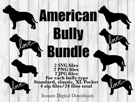 American Bully Dog Types