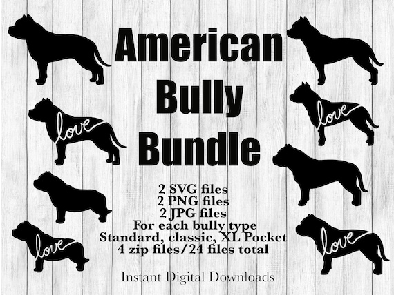 American Bully Dog Types