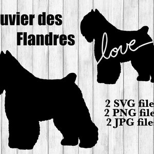 Bouvier des Flandres Dog Breed Silhouette Cursive Love Canine Pet Digital Télécharger Cutting File SVG PNG JPG