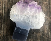 Item from this shop