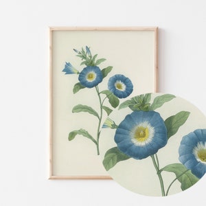 Birth Month Flower, September flower Flower Wall Art, Wild Flower Prints, Vintage Wall Art, Kitchen Wall Art, Instant Download image 2