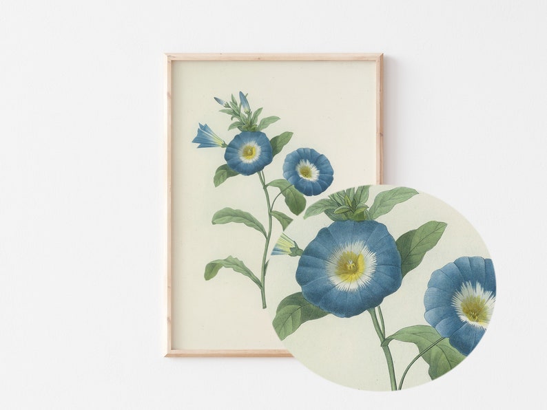 Geburtsmonat Blume, September Blumen Wandkunst, Wildblumen Drucke, Vintage Wandkunst, Küchen wandkunst, Instant Download Bild 2