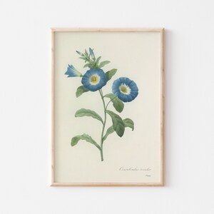 Geburtsmonat Blume, September Blumen Wandkunst, Wildblumen Drucke, Vintage Wandkunst, Küchen wandkunst, Instant Download Bild 1