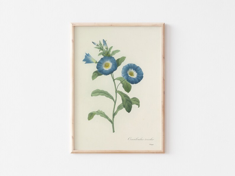 Geburtsmonat Blume, September Blumen Wandkunst, Wildblumen Drucke, Vintage Wandkunst, Küchen wandkunst, Instant Download Bild 1