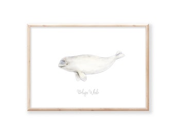 Whale Art Print for Nautical Decor, Beluga Whale Print for Whale  Bathroom Decor, Whale Watercolor Print for Whale Nursery*Instant Download*