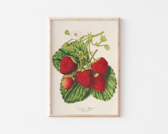 Stampa di fragole, stampa della parete della cucina, stampa di frutta d'arte della fragola per l'arredamento sopra il letto, poster di frutta, * Download istantaneo