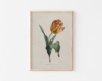 Tulip Floral Poster, Flower Poster for Flower Wall Art, Botanical Print for Vintage Gallery Wall, *Instant Download