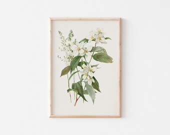 Botanical Print for Vintage Gallery Wall, Vintage poster, Botanical Poster, Flower Wall Art for Above Bed Decor, * Instant Download