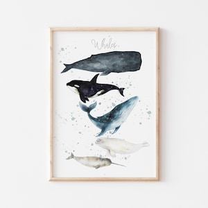 Whale Art Print for Nautical Decor, Printable Wall Art for Whale  Nursery, Whale Watercolor Print, Playroom Wall Decor, *Instant Download*