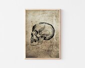 Creepy Decor for Gothic Home Decor, Human Skull Goth Print, Horror Poster for Halloween Decor, Halloween Prints,* Instant Download*