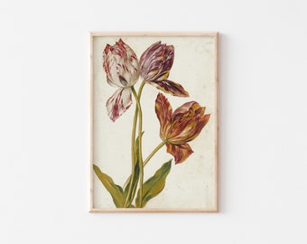 Tulip Floral Poster, Flower Poster for Flower Wall Art, Botanical Print for Vintage Gallery Wall, *Instant Download