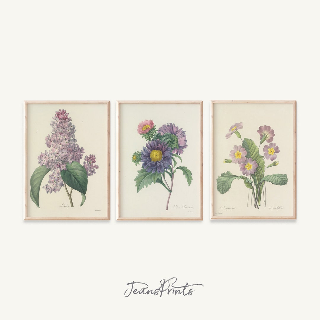 3 Piece Wall Art for Gallery Wall Prints, Flower Wall Art for Bedroom