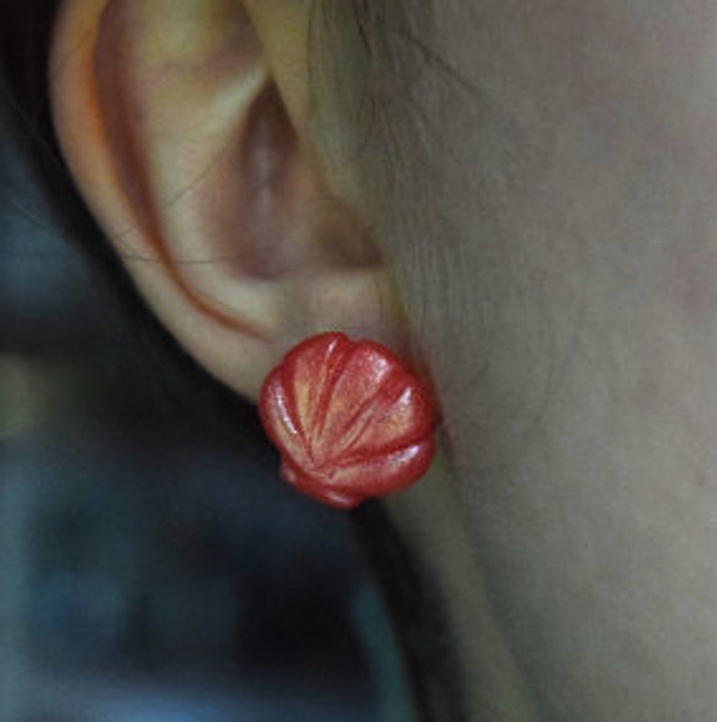 Shell stud earrings
