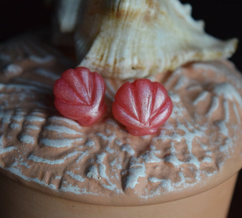 Shell stud earrings