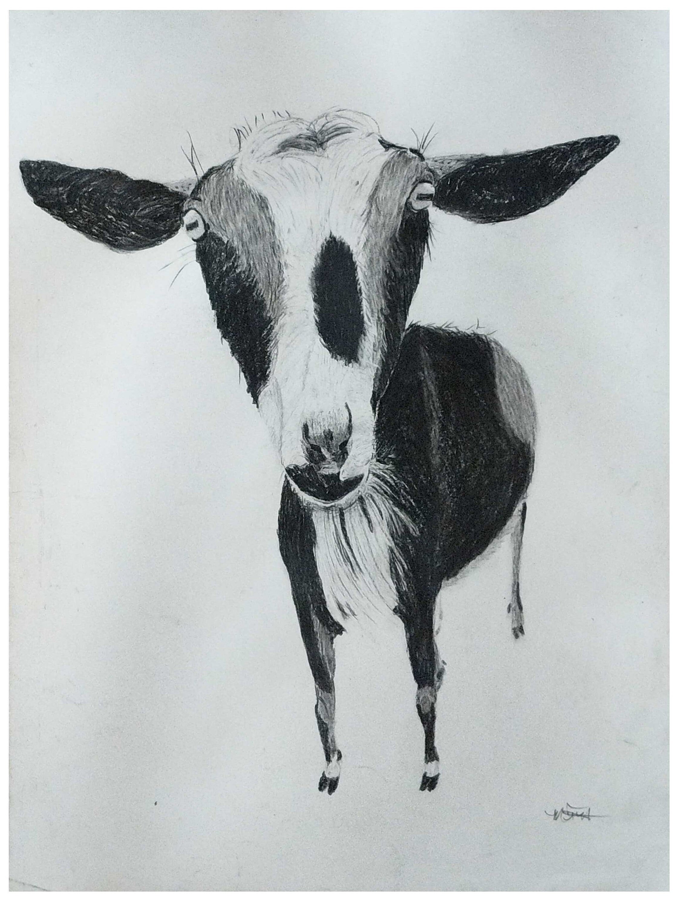 Patty Charcoal Goat Print Goat Art Jpeg Goat Prints Etsy